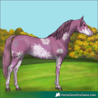 Horse Color:Watercolor Chestnut Ice 
