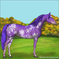 Horse Color:Watercolor Liver Chestnut Ice 
