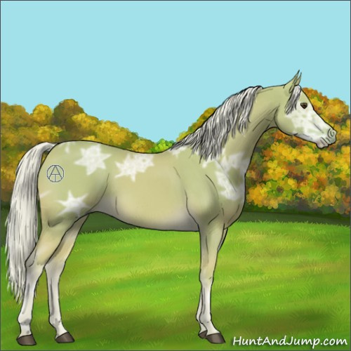 Horse Color:Watercolor Palomino Ice