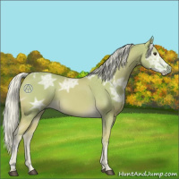 Horse Color:Watercolor Palomino Ice 
