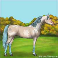 Horse Color:Watercolor Bay Ice Dun 