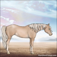 Horse Color:Chocolate Palomino Pearl 