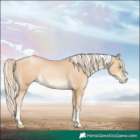 Horse Color:Palomino Pearl Tobiano 