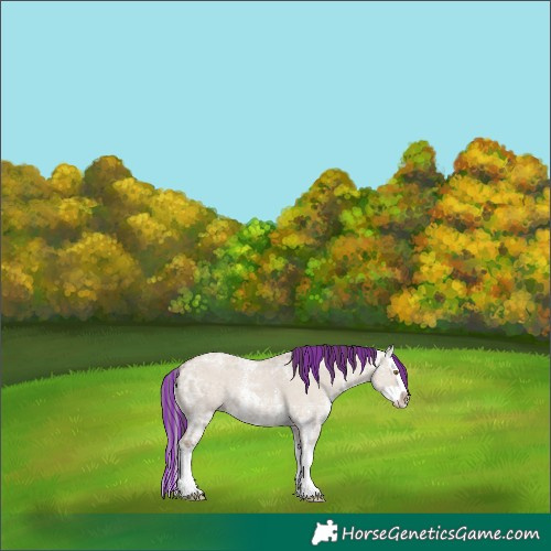 Horse Color:Painted Classic Champagne Ice Dun Sabino Splash 
