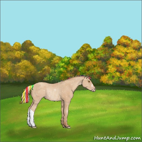 Horse Color:Painted Silver Classic Champagne Rabicano