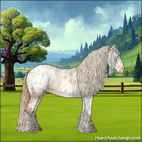 Horse Color:Red Dun Blanket  and White Spotted Red Dun Blanket 