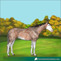 Horse Color:Bay Ice Splash 