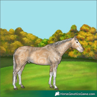 Horse Color:Silver Buckskin Ice Sabino 