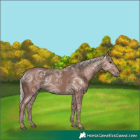 Horse Color:Silver Black Ice