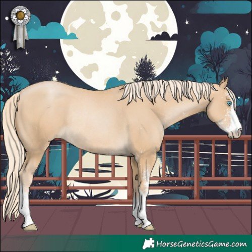 Horse Color:Palomino Pearl Sabino Rabicano 