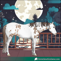 Horse Color:Bay Dun Splash Tobiano Leopard