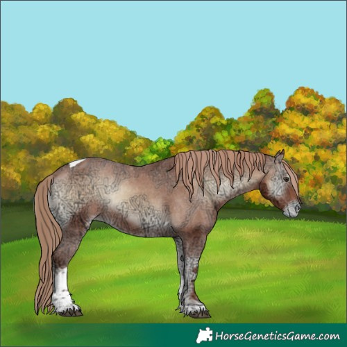 Horse Color:Red Onyx Ice Tobiano Varnish Rabicano 