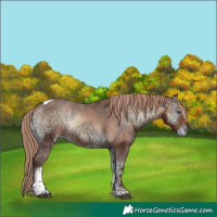 Horse Color:Red Onyx Ice Tobiano Varnish Rabicano