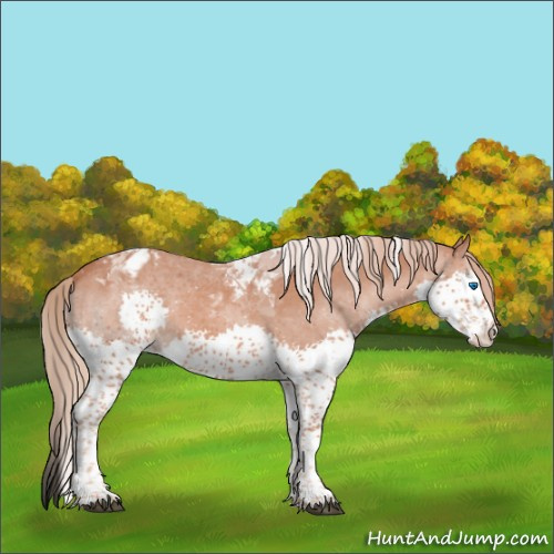 Horse Color:Chestnut Splash Tobiano Varnish Rabicano