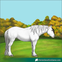 Horse Color:Brown Dun Splash Tobiano Rabicano 