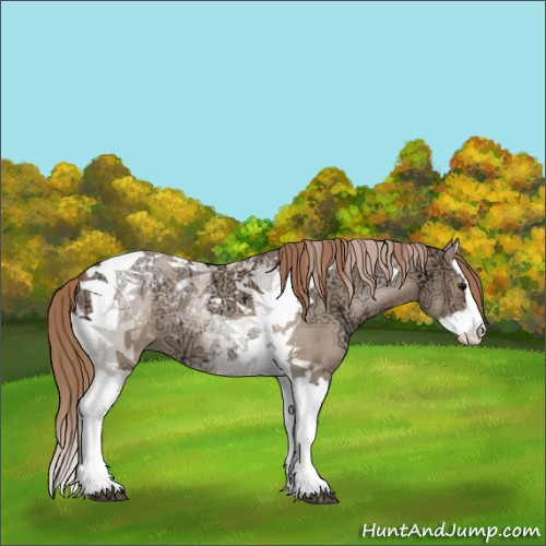 Horse Color:Grullo Ice Pearl Splash Tobiano 