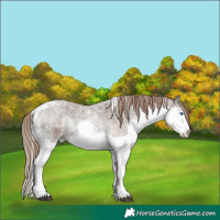 Horse Color:Liver Red Onyx Ice Roan Pearl Splash Tobiano Rabicano