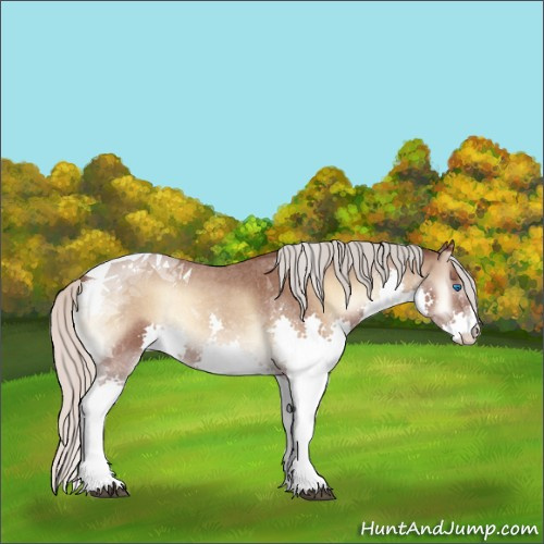 Horse Color:Silver Blue Onyx Roan Splash Tobiano Rabicano 