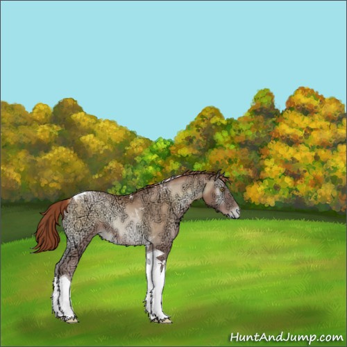 Horse Color:Buckskin Ice Pearl Onyx Tobiano Rabicano 