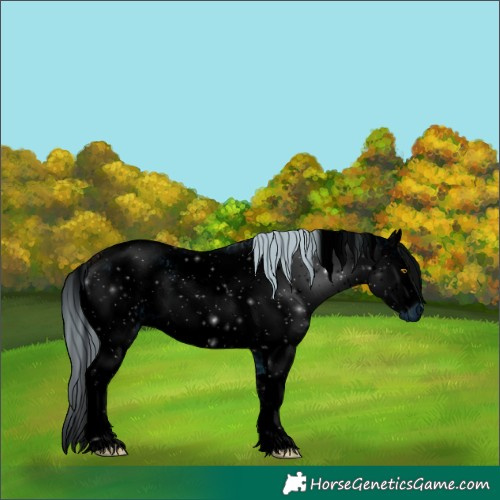 Horse Color:ERROR: UNKNOWN ANOMALY