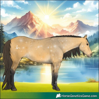 Horse Color:Buckskin 