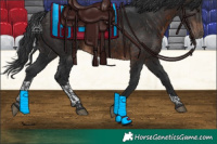 Horse Color:Brown Tobiano 