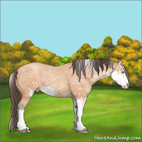 Horse Color:Amber Champagne Ice Sabino 