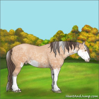 Horse Color:Amber Champagne Ice Sabino 