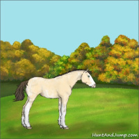 Horse Color:White Spotted Amber Cream Champagne Ice Roan Splash 