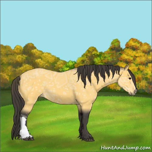Horse Color:Buckskin Ice 
