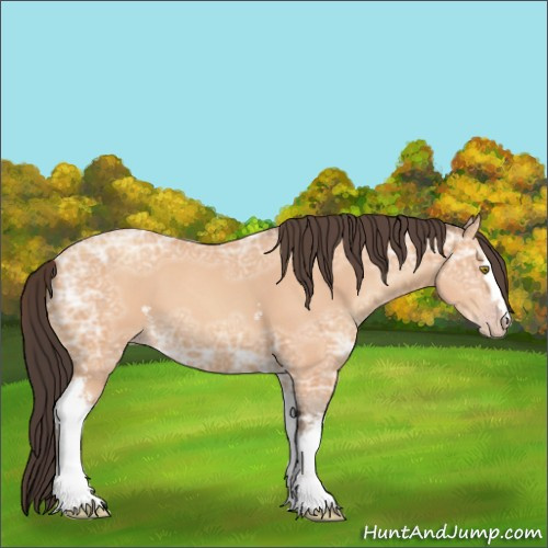 Horse Color:White Spotted Amber Champagne Ice 