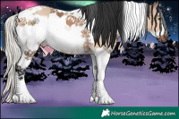 Horse Color:Silver Bay Dun Tobiano Frame and Brown Dun Sabino Tobiano Frame