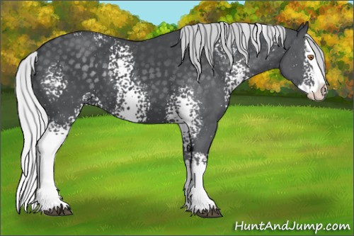 Horse Color:White Spotted Silver Black Chinchilla Splash 