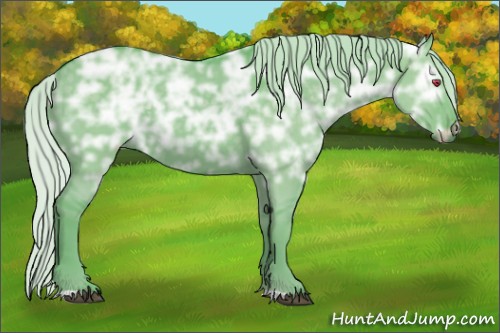 Horse Color:Watercolor Silver Grullo Chinchilla Ice 