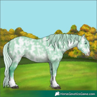 Horse Color:Watercolor White Spotted Silver Brown Chinchilla Ice Dun 