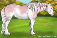 Horse Color:Watercolor White Spotted Silver Brown Roan Onyx Splash 
