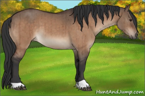 Horse Color:Brown Dun Brindle 