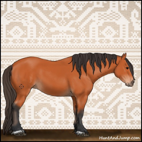 Horse Color:Bay 