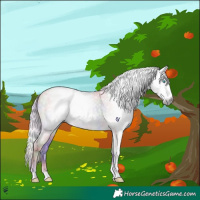 Horse Color:Gray Platinum Nacre Chocolate Silver Perlino Dun Tobiano 