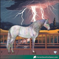 Horse Color:Platinum Nacre Chocolate Silver Buckskin Roan Dun 