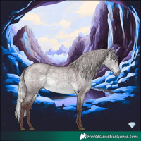 Horse Color:Platinum Chocolate Silver Buckskin Roan Dun 