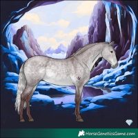 Horse Color:Platinum Chocolate Silver Buckskin Roan Dun 