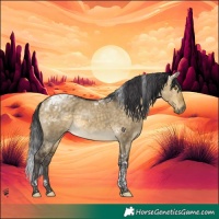 Horse Color:Buckskin Dun Tobiano 