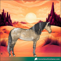Horse Color:Buckskin Dun Tobiano 