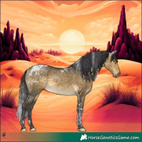 Horse Color:Buckskin Dun Tobiano 