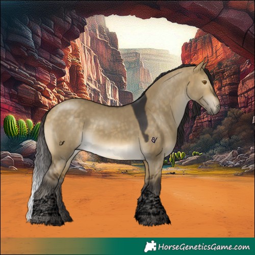 Horse Color:Void Buckskin Dun Tobiano 