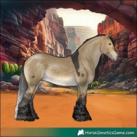 Horse Color:Void Buckskin Dun Tobiano 