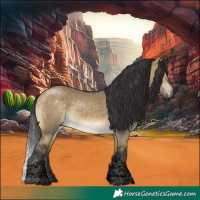 Horse Color:Void Buckskin Dun Tobiano 