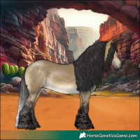 Horse Color:Void Buckskin Dun Tobiano 