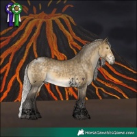 Horse Color:Void Silver Buckskin Dun Tobiano